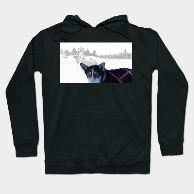 Look in the eyes of a Husky Hoodie by Aurealis